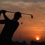 Welcome to 2019, the Year of the Dog.