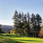 Golf’s Summer Visitors Otago Golf Club Summer Tourism