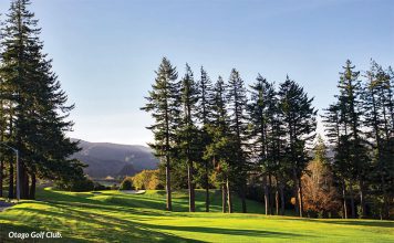 Golf’s Summer Visitors Otago Golf Club Summer Tourism