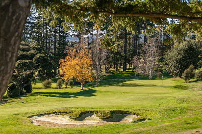 Otago Golf Club looking towards the 17th Green (Supplied)