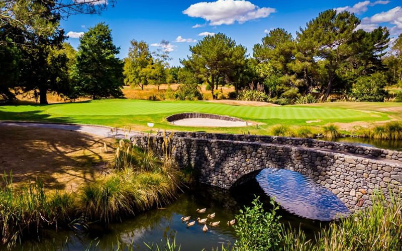 Wairakei Golf Club NZ Top 40 Golf Course Number 8