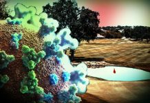 More Tour Events Cancelled Due to Covid-19 Outbreak Golf Course Maintenance Lockdown Charles Tour