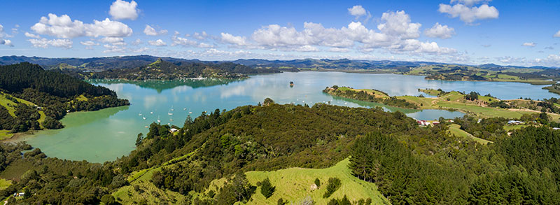 View from Kauri Hill Estate