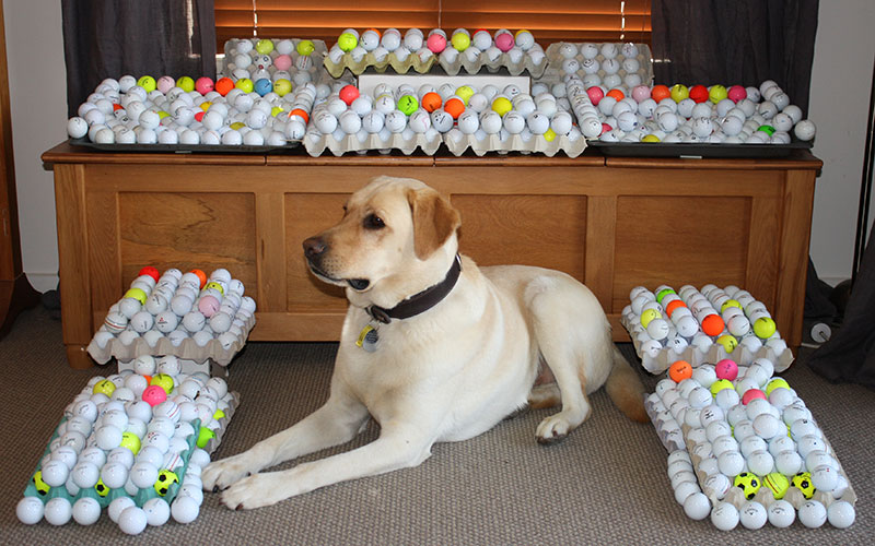 Fergus with his collection (Photo Jean & Doug Harradine)