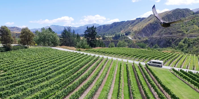 Queenstown Wineries